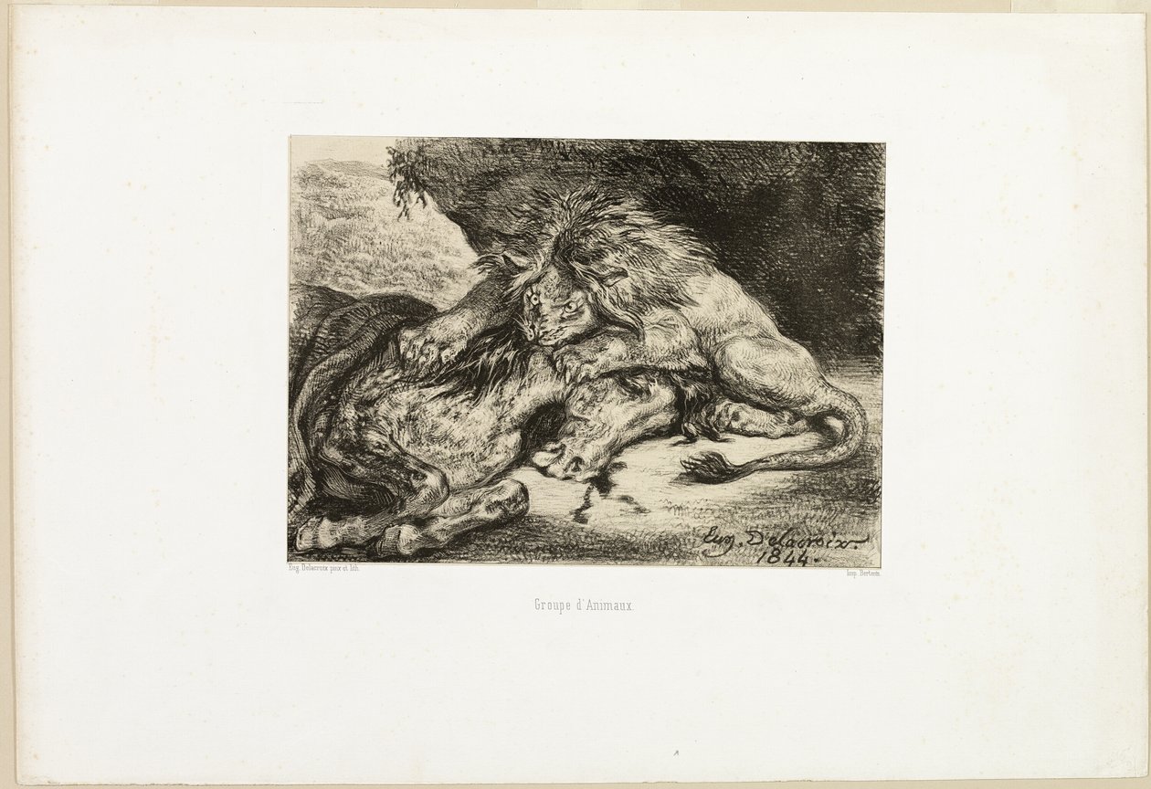 Lion dévorant un cheval - Eugène Delacroix