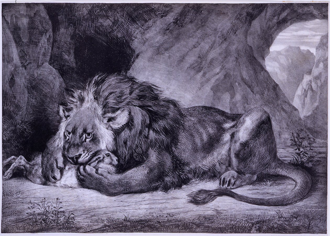 Lion de l