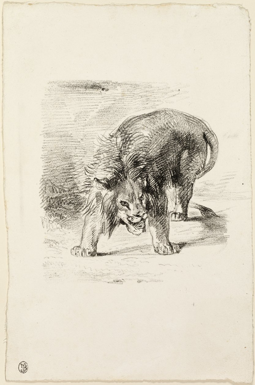 Lion debout - Eugène Delacroix