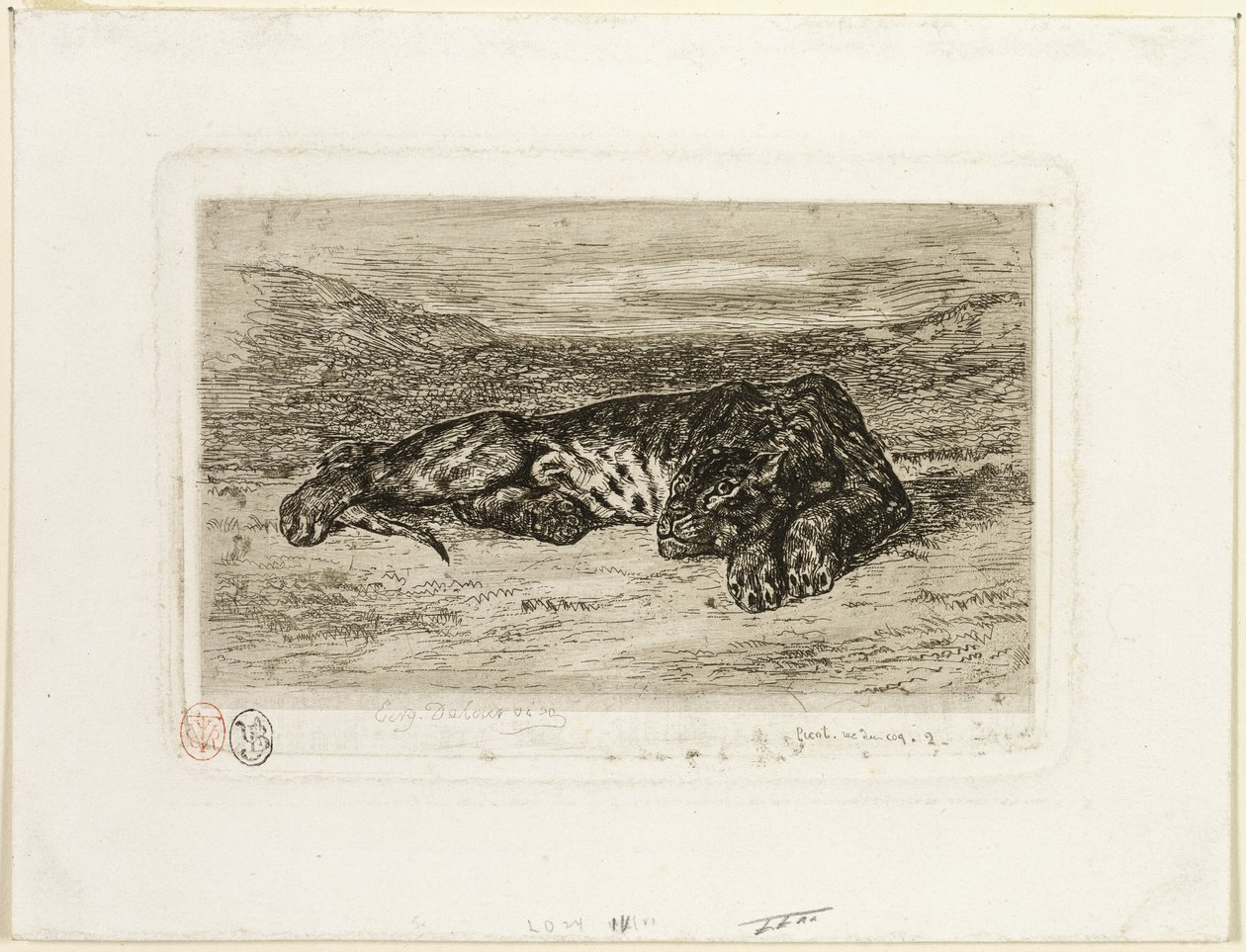 Tigre se reposant dans le désert - Eugène Delacroix