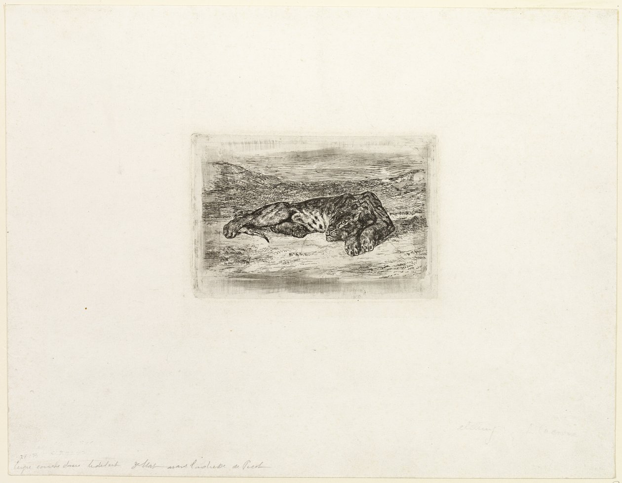 Tigre se reposant dans le désert - Eugène Delacroix