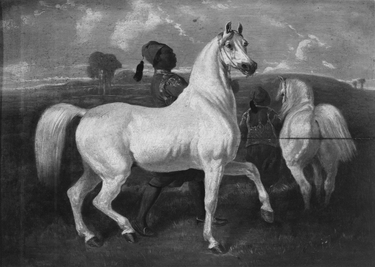 Chevaux Arabes, 19ème siècle - Eugène Fromentin