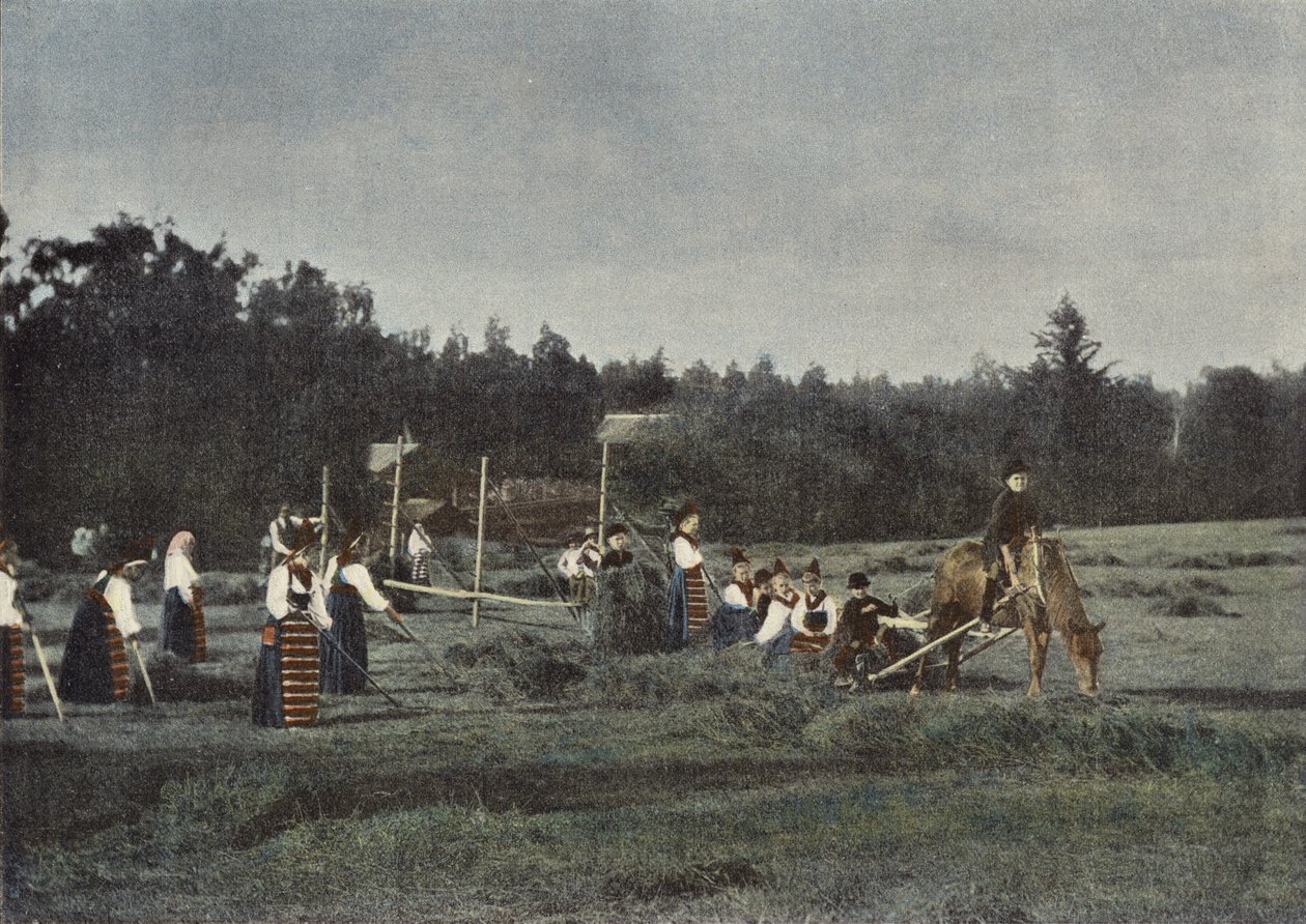 La coupe des foins en Dalécarlie, Suède - European Photographer