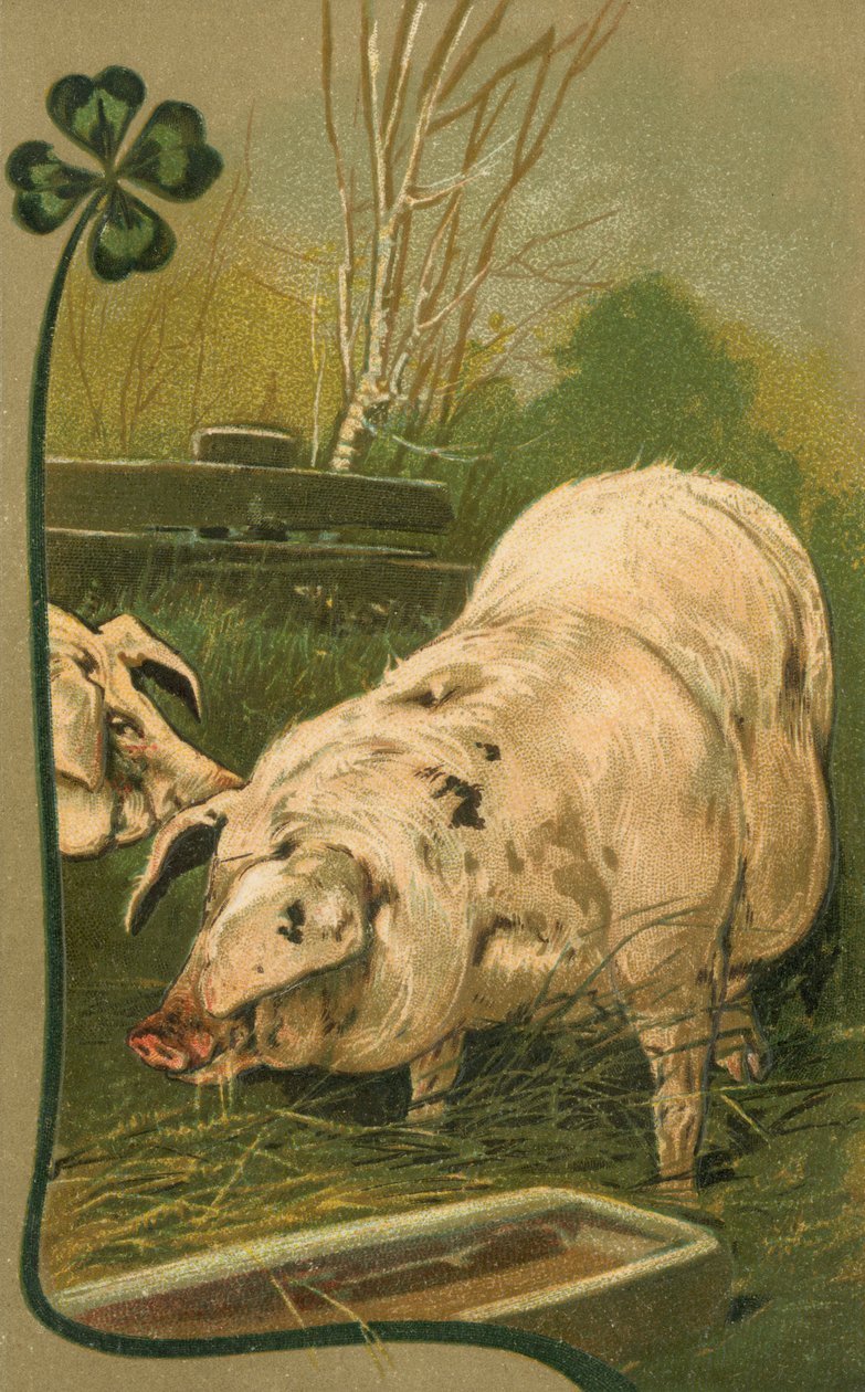 Un cochon dans le trèfle (lithographie couleur) - European School