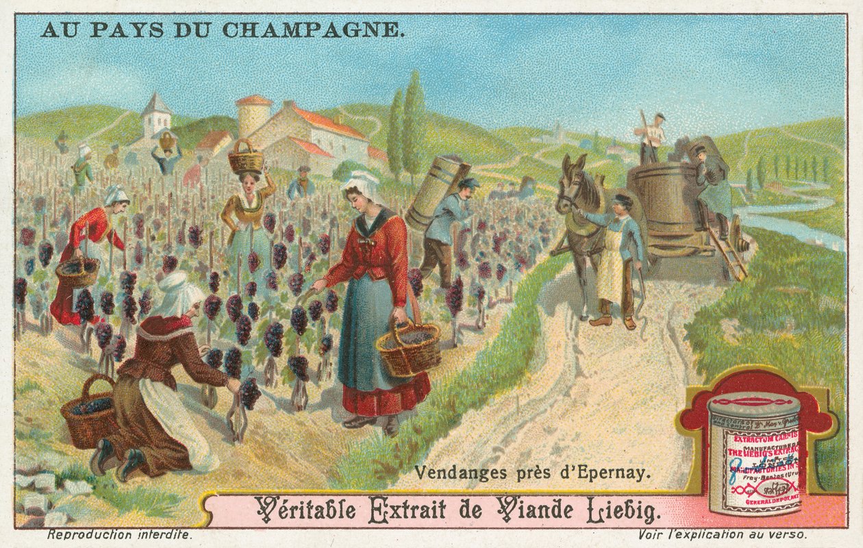 Champagne, carte de Liebig, début du 20e siècle (chromo) - European School