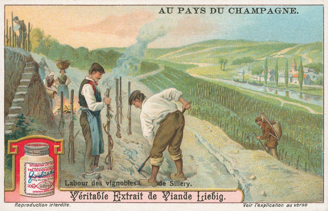 Champagne, carte de Liebig, début du 20e siècle (chromo) - European School