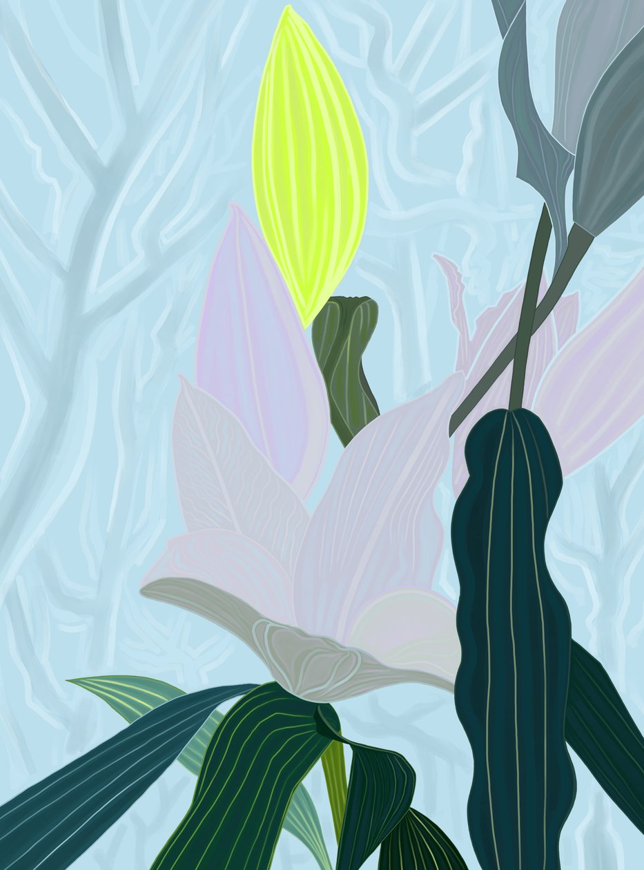 Lily (art numérique) - Evan Sklar