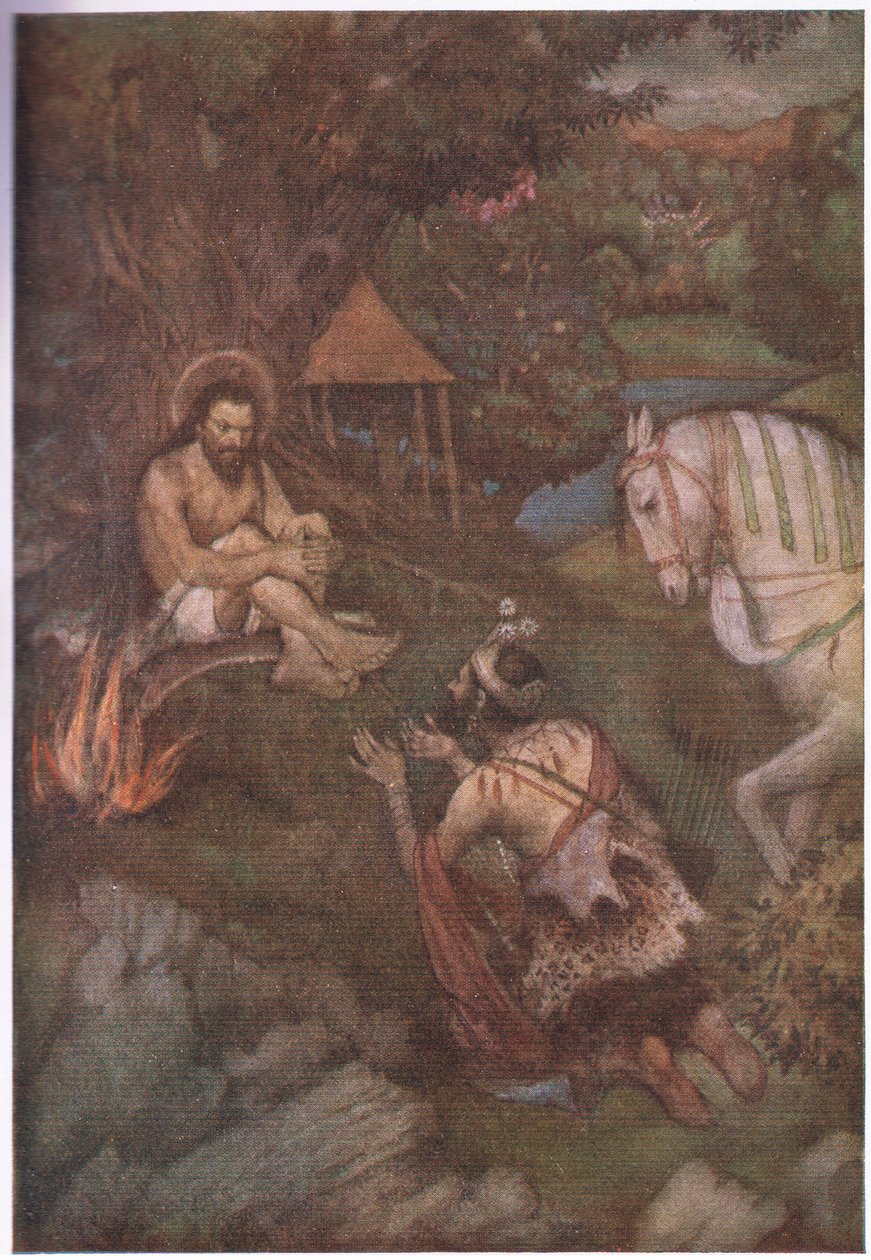 Ce que tu désires, grand sage - Evelyn Paul