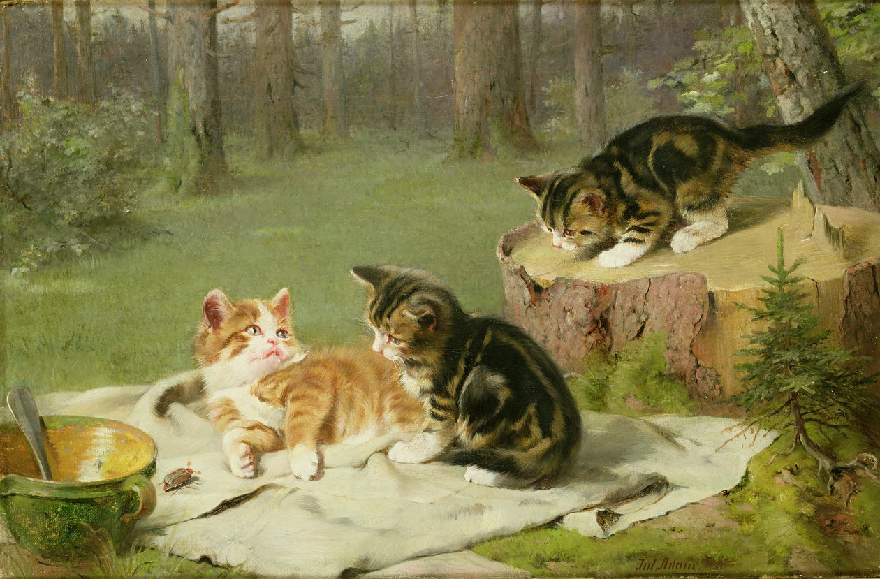 Chatons jouant - Ewald Honnef
