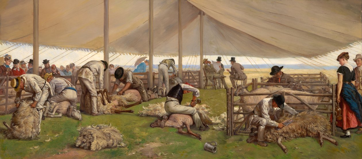 Concours de tonte de moutons - Eyre Crowe