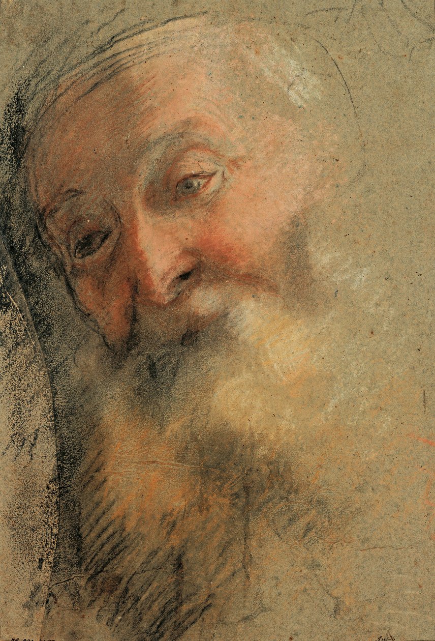 Tête d