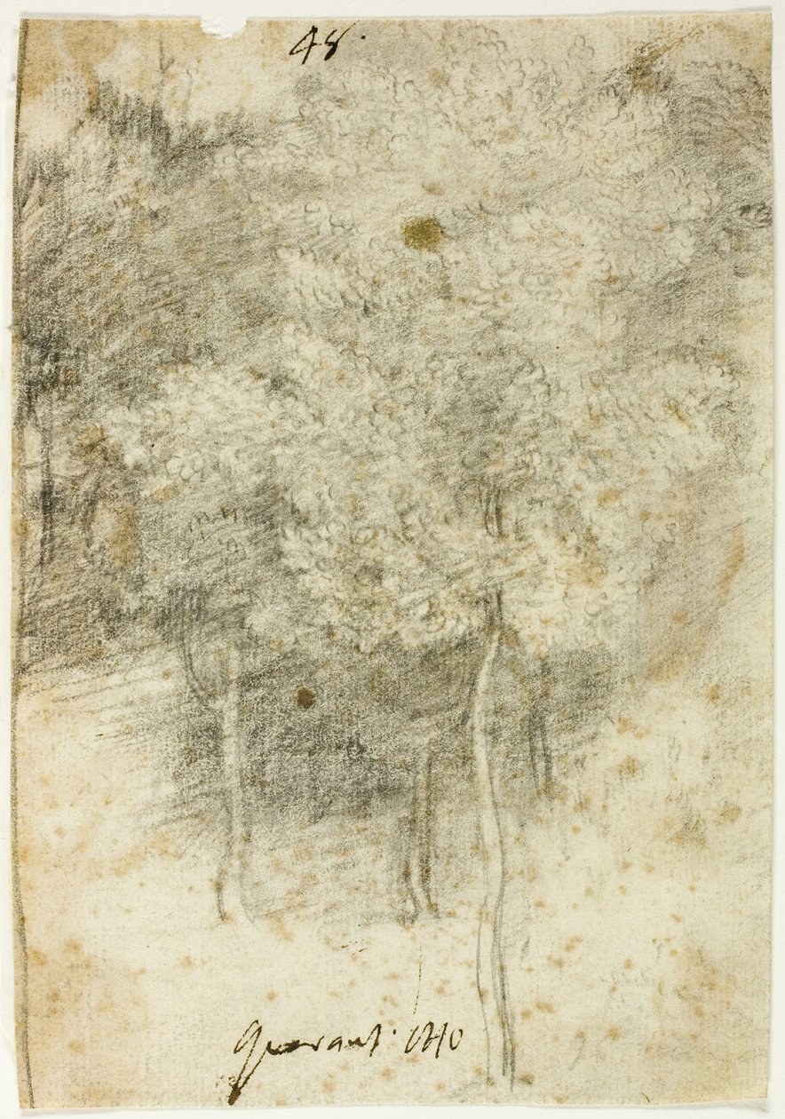 Bosquet d