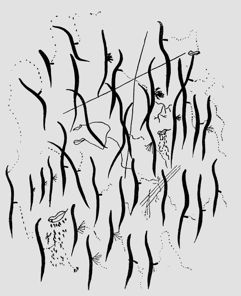 Parque, illustration de 