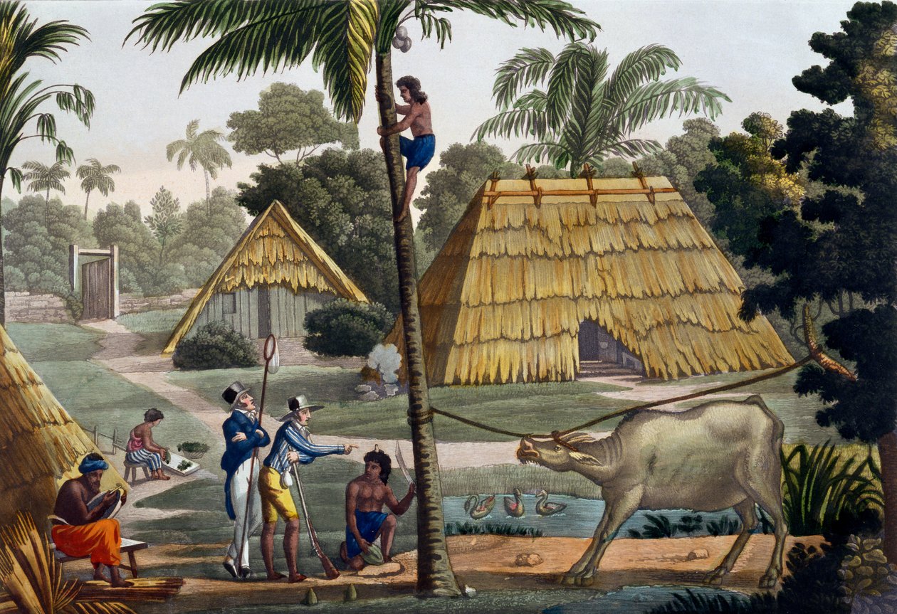 Les naturalistes interrogent les indigènes près de Kupang, Timor, planche 7 de 