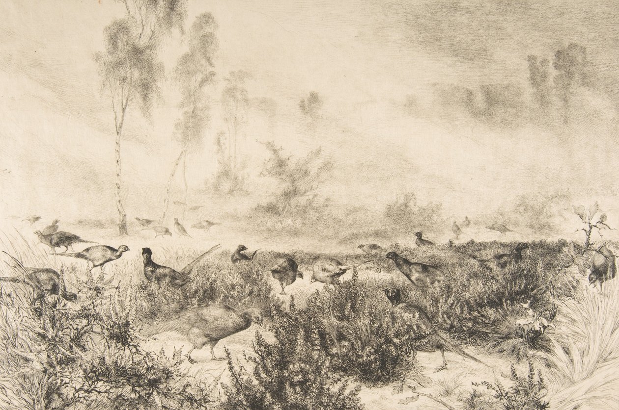 Brumes du matin - Felix Bracquemond