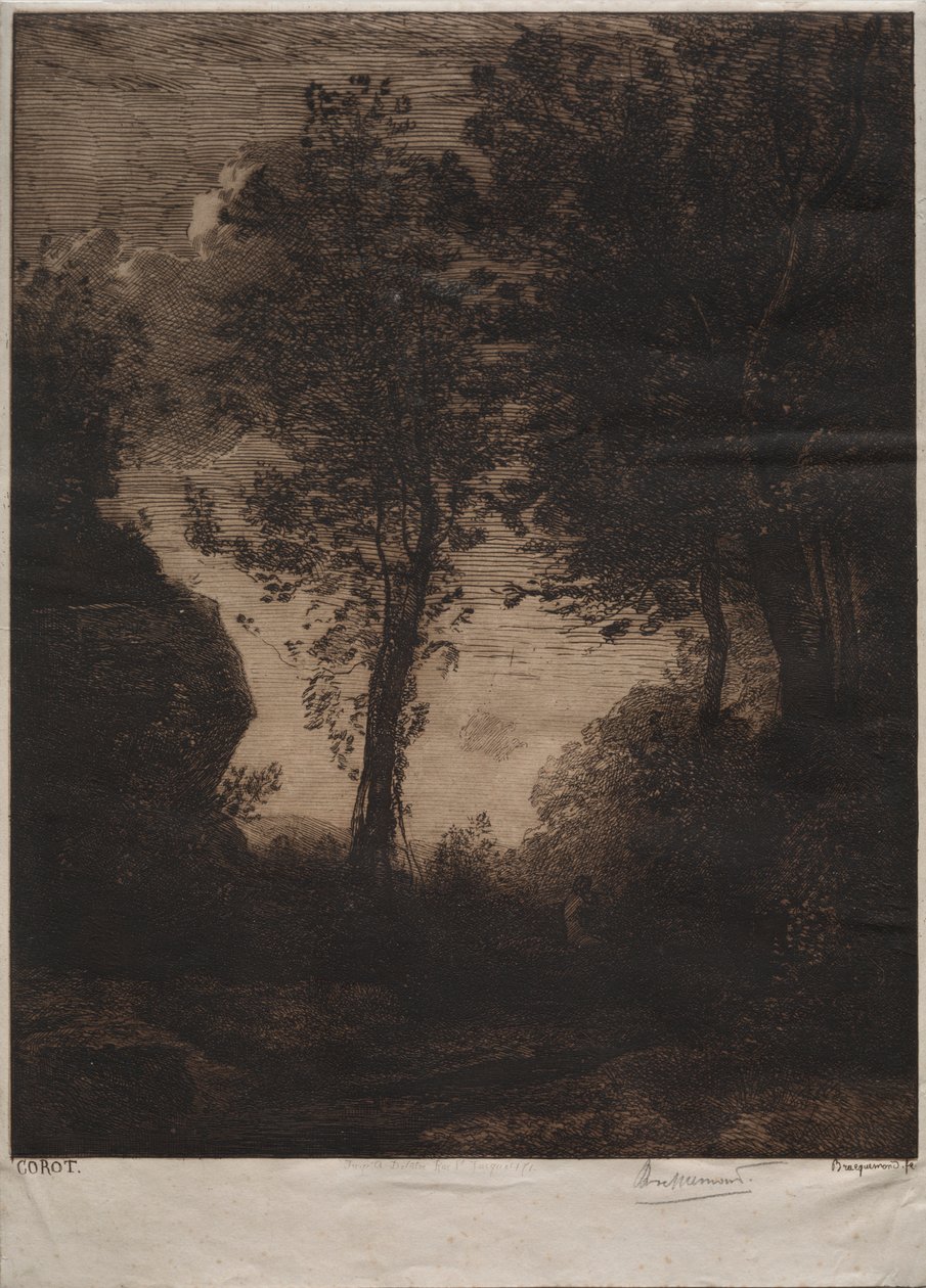 Paysage : Coucher de soleil, d