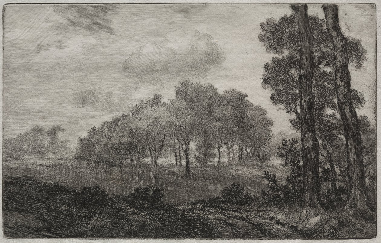 Paysage, d
