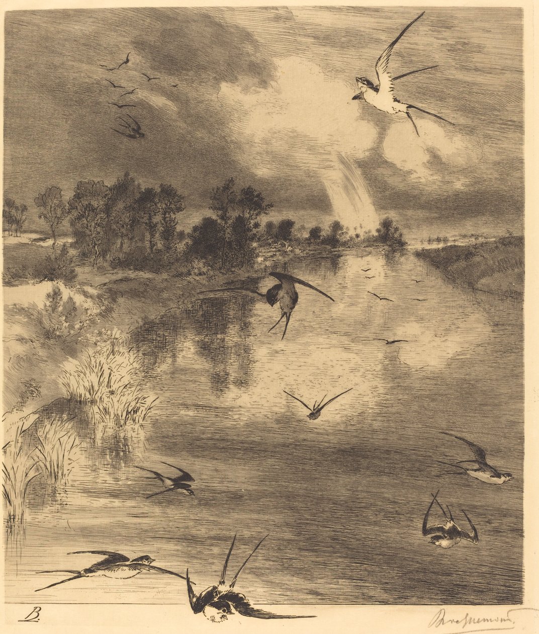 Les Hirondelles - Felix Bracquemond
