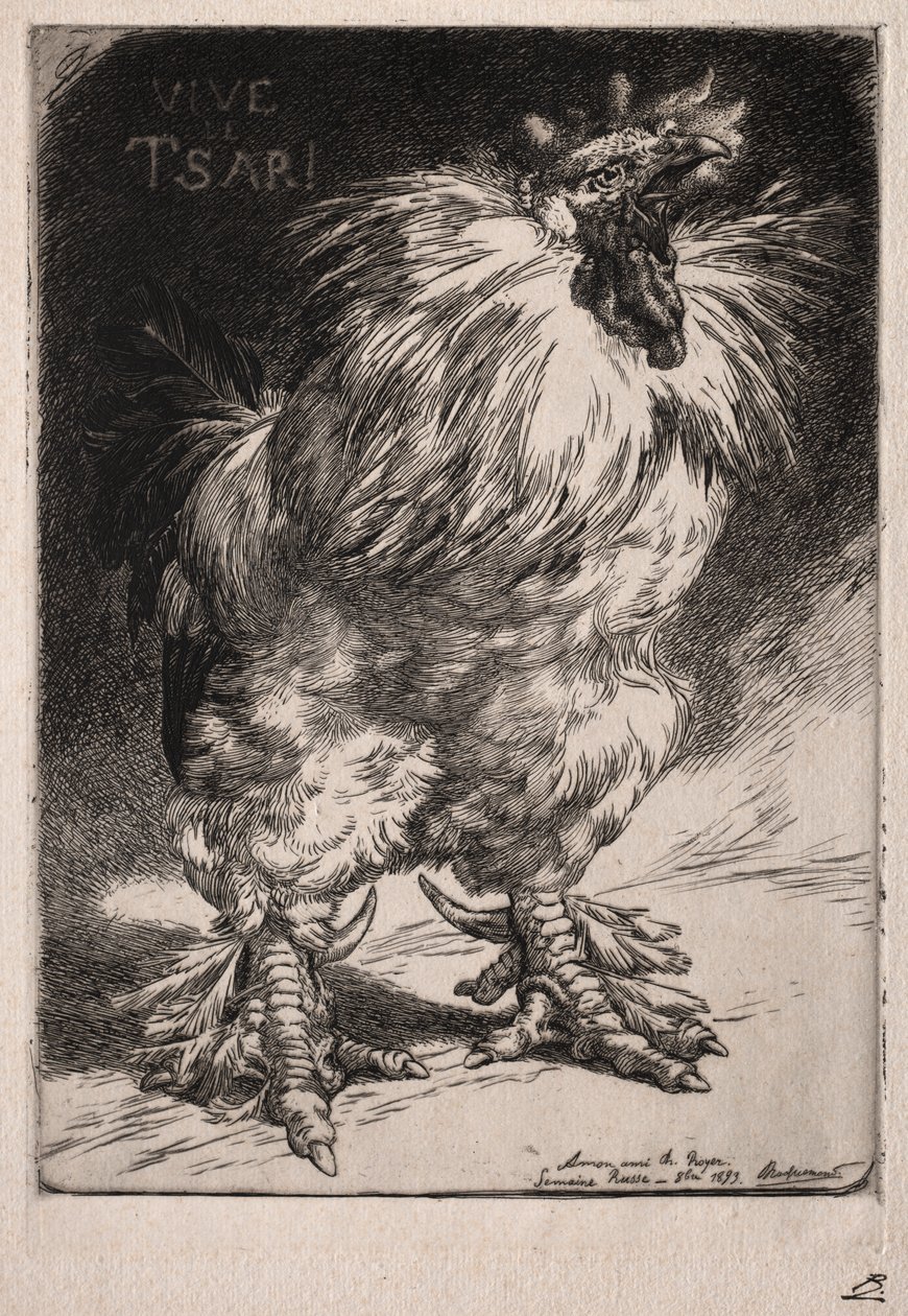 Le coq français - Felix Bracquemond