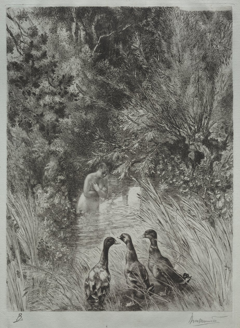 Les canards surpris - Felix Bracquemond