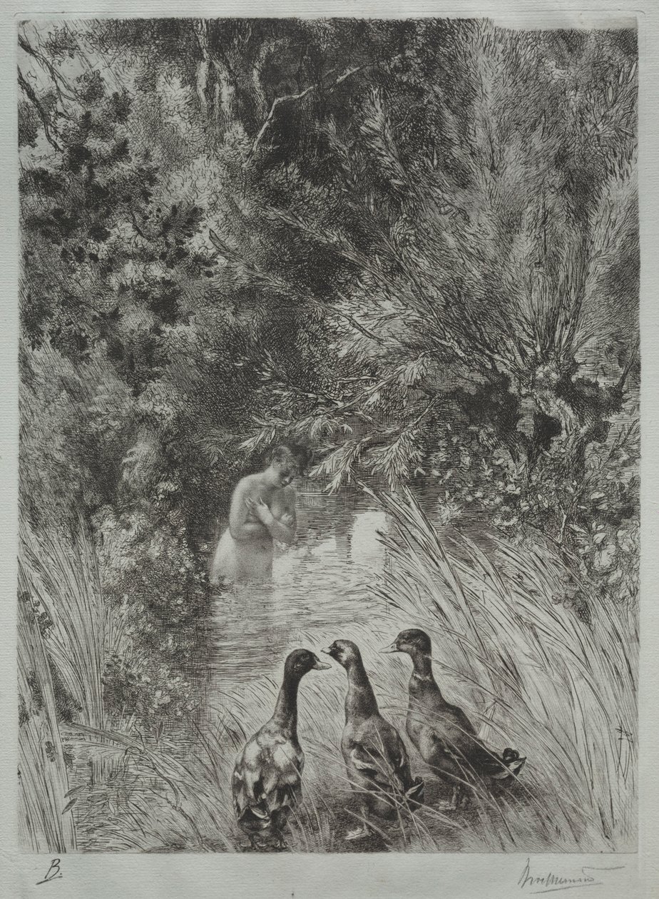 Les canards surpris - Felix Bracquemond