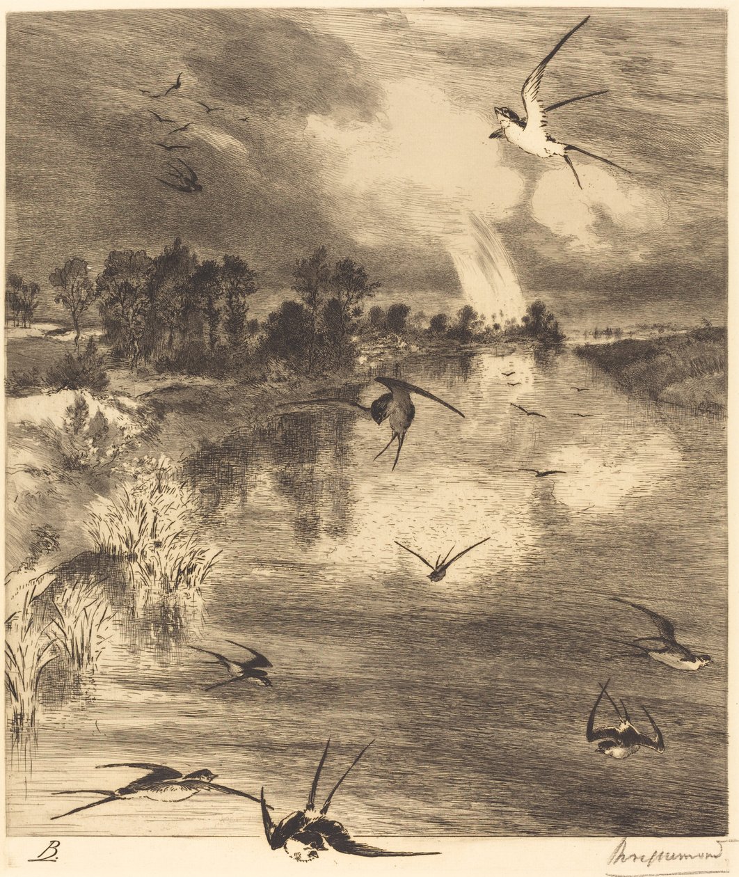 Les hirondelles - Felix Bracquemond