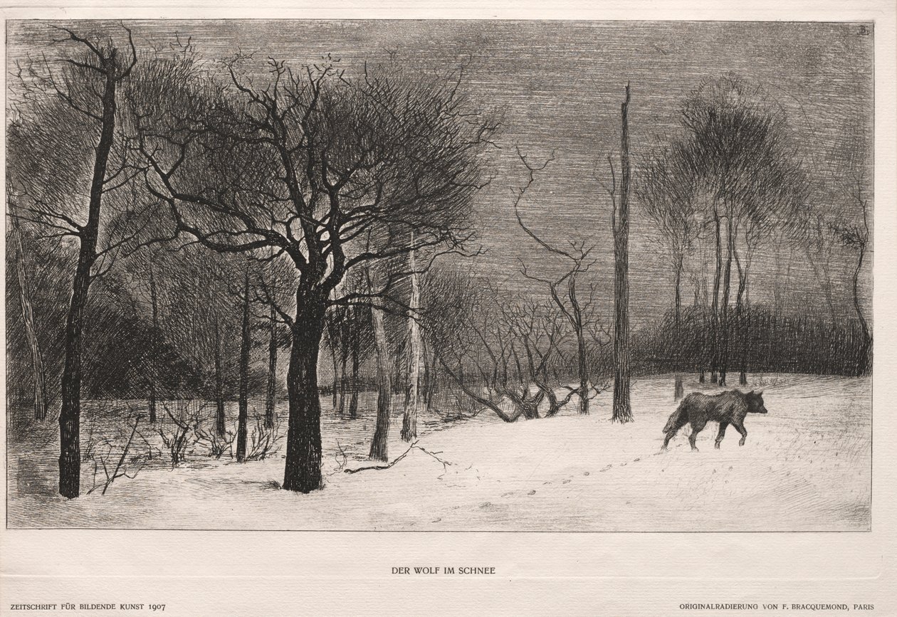 Hiver - Felix Bracquemond