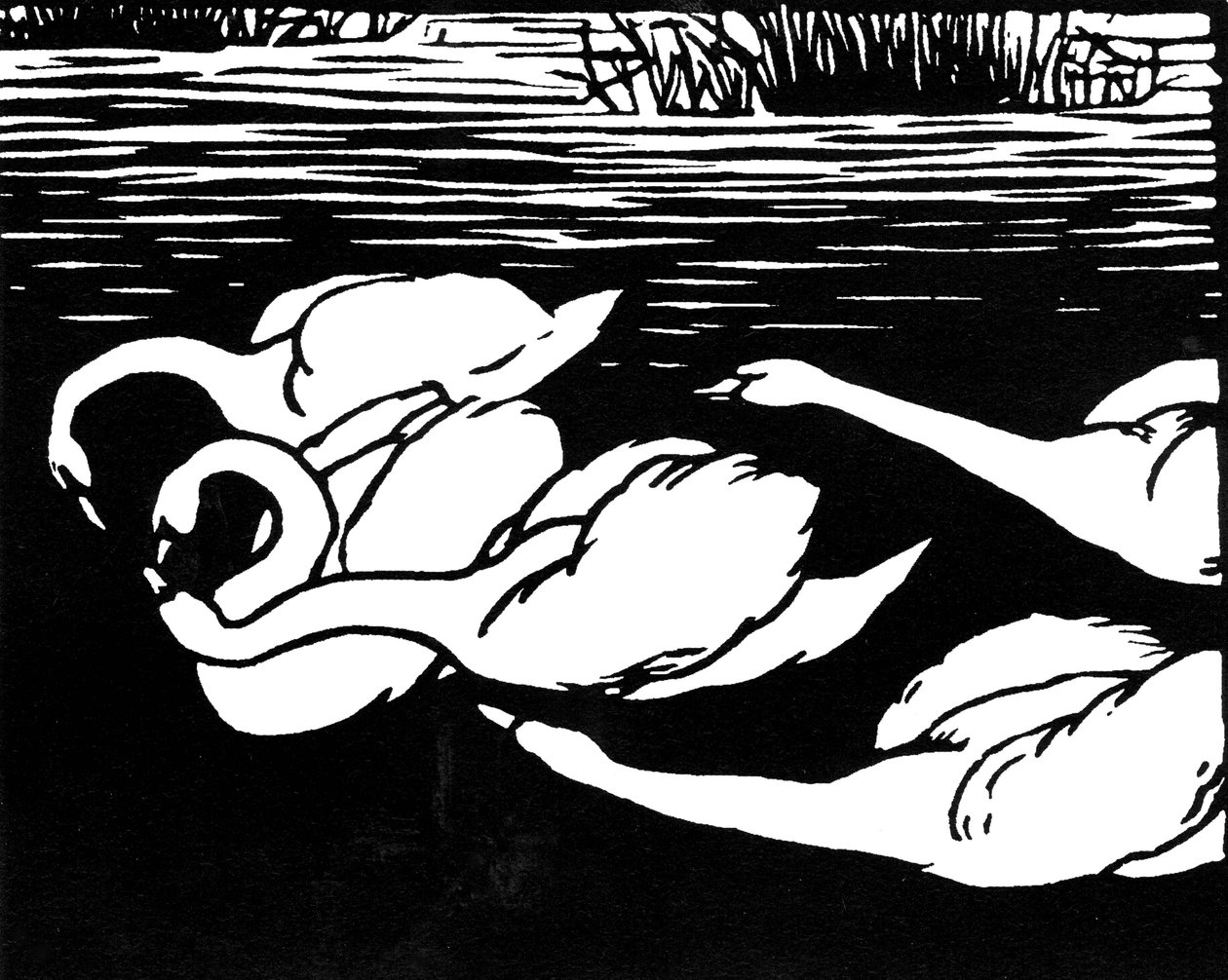 Cygnes, 1892 - Felix Edouard Vallotton