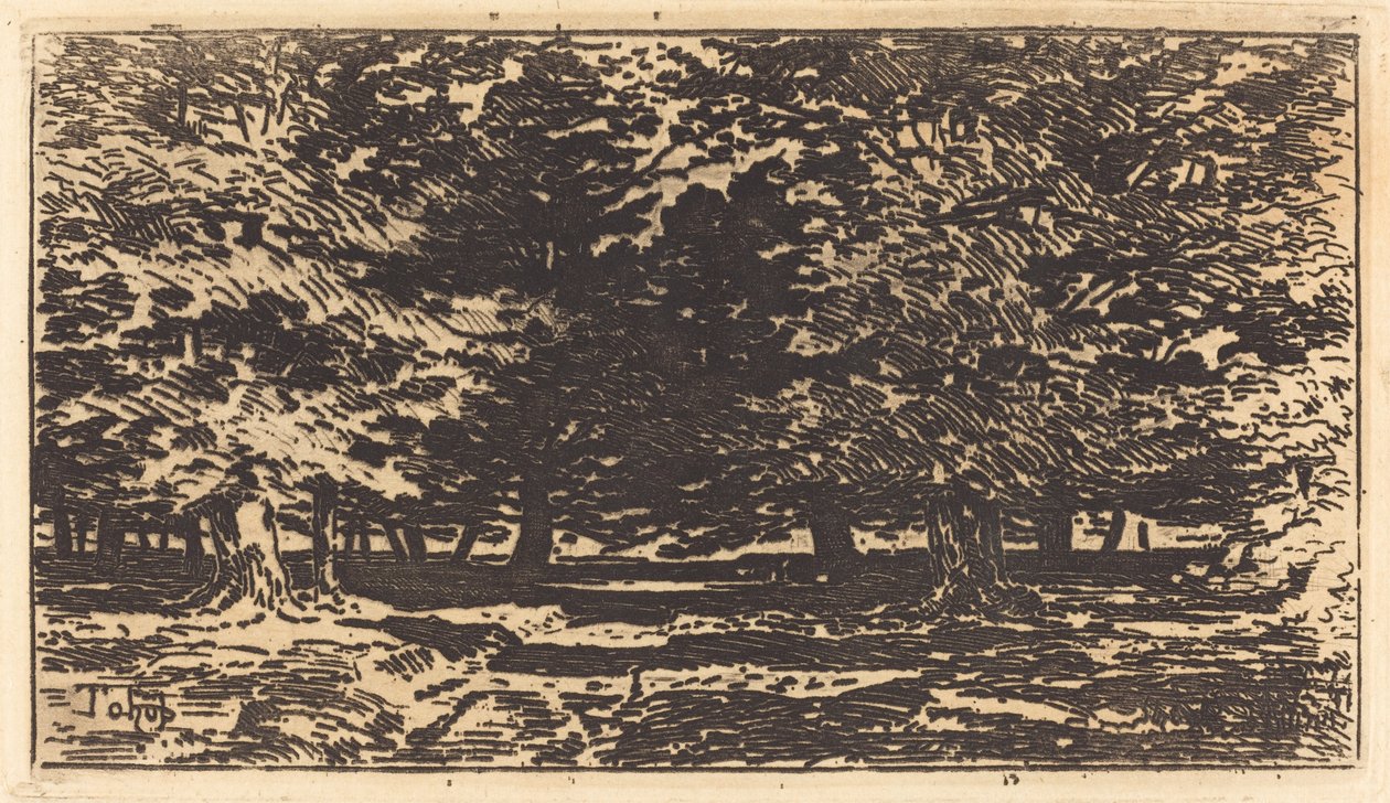 Forêt - Felix Hilaire Buhot