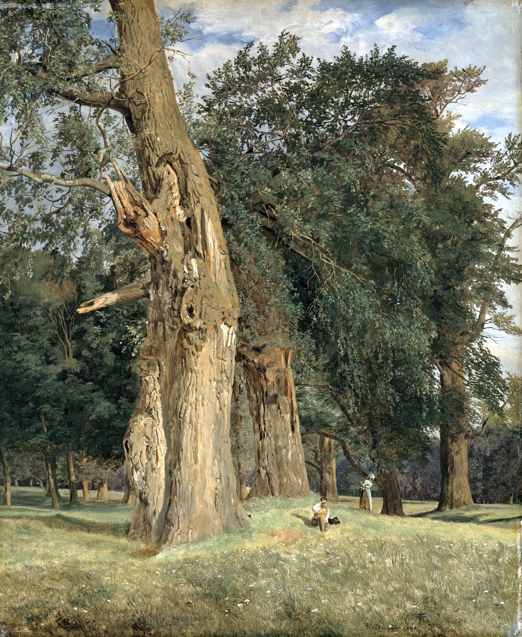 Vieux ormes au Prater - Ferdinand Georg Waldmuller