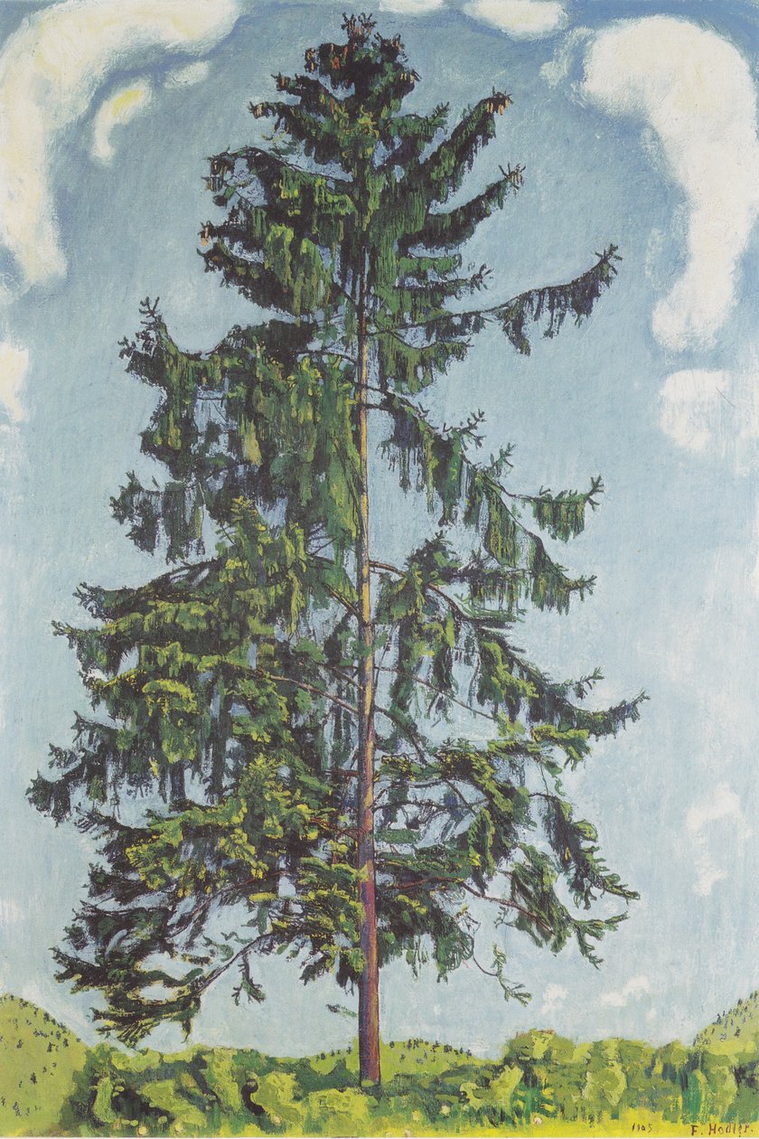 Sapin près de Chamby - Ferdinand Hodler