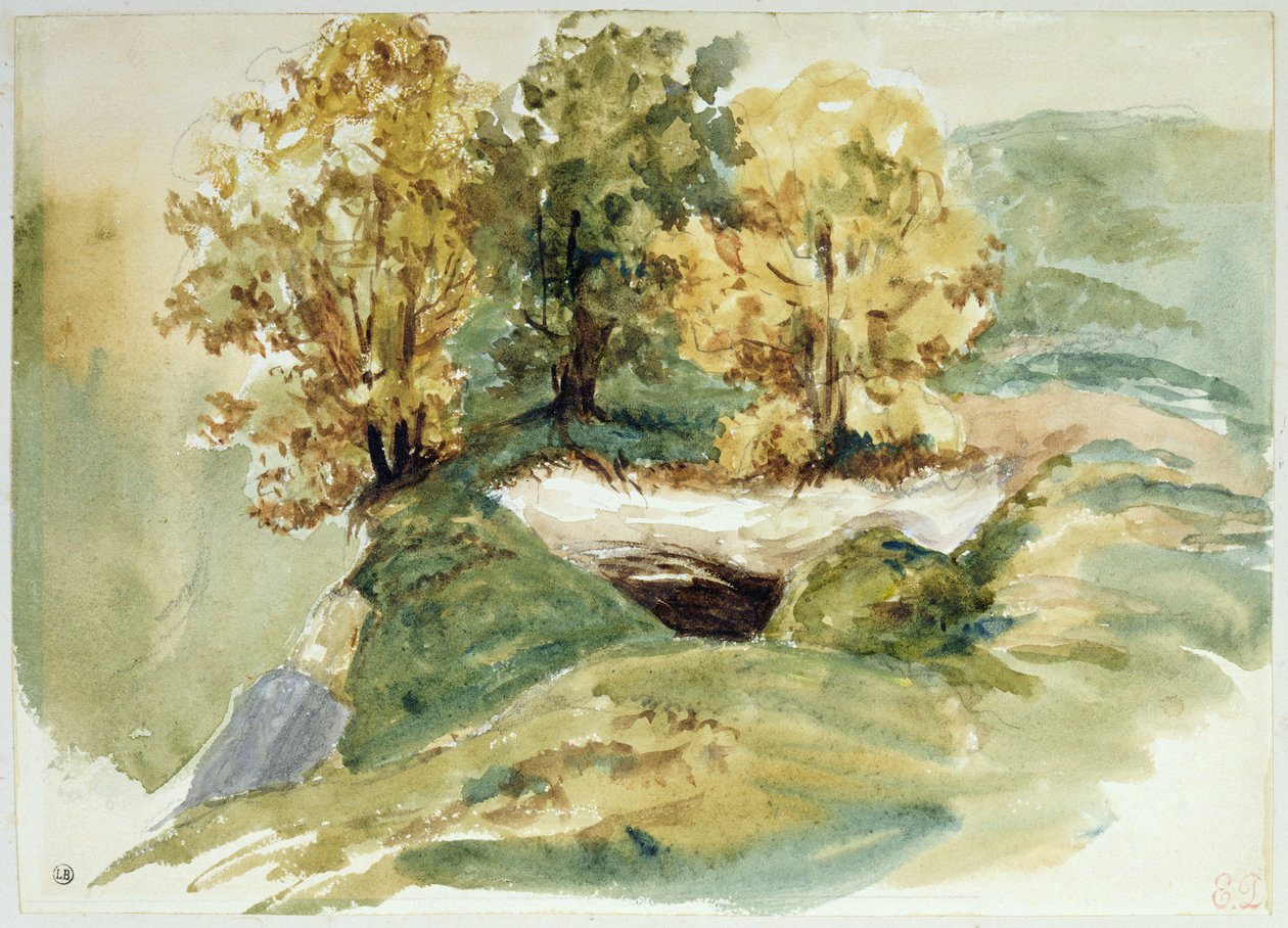 Trois arbres au bord d