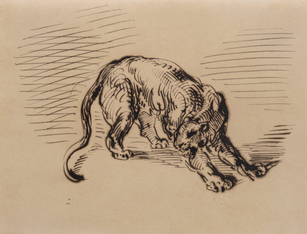 Tigre effrayé par un serpent, 1858 - Ferdinand Victor Eugene Delacroix