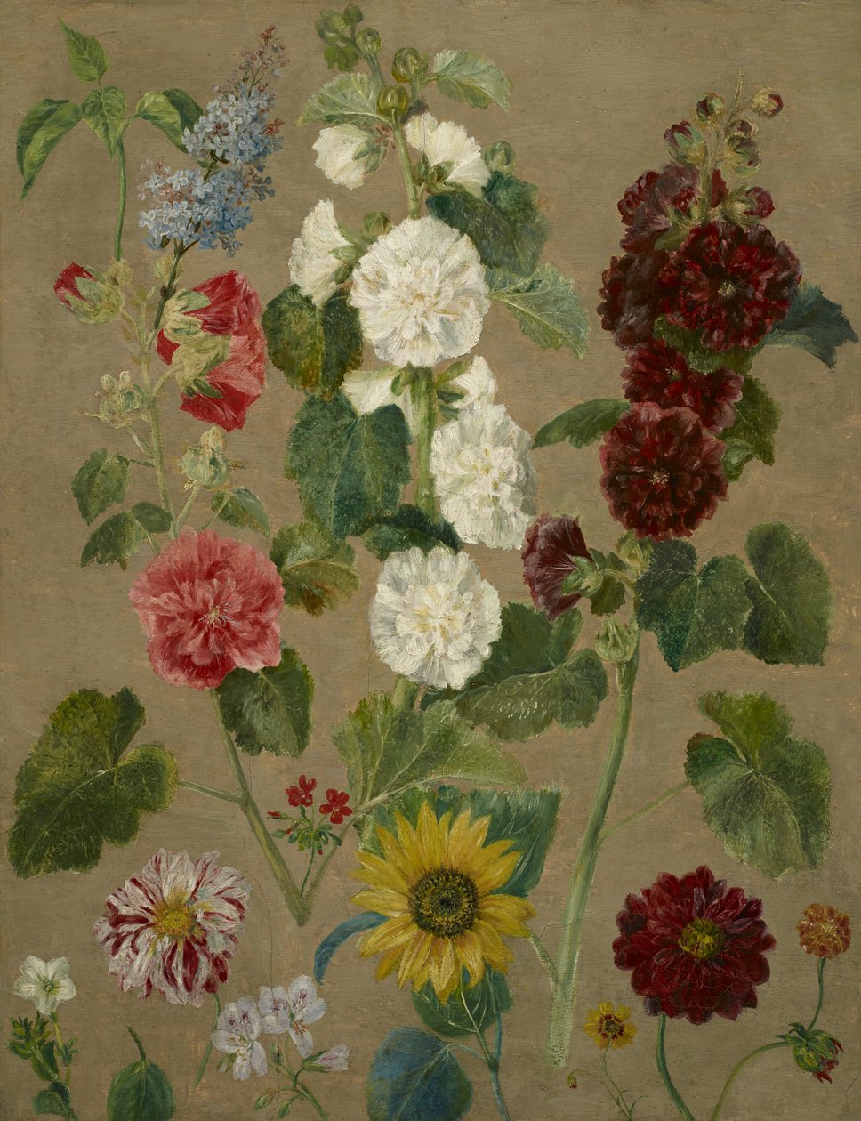 Sans titre [fleurs] - Ferdinand Victor Eugene Delacroix