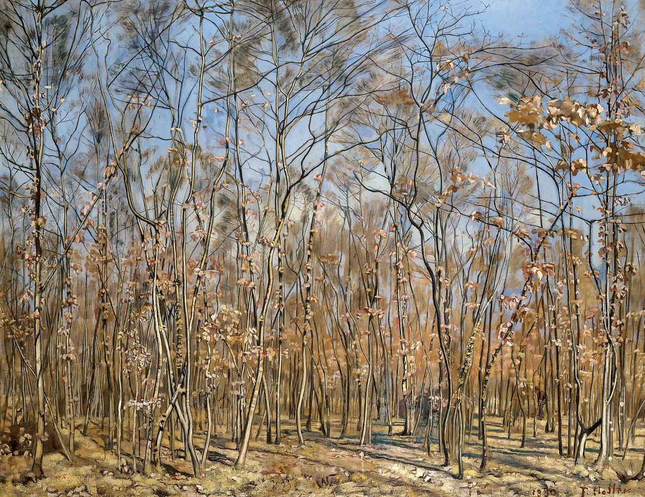 Forêt de hêtres, 1885-1894 - Ferdinand Hodler