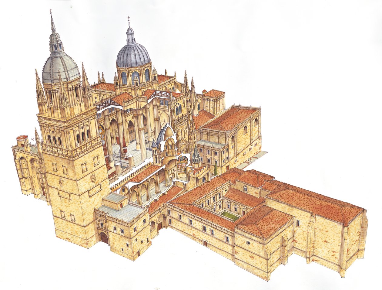 Cathédrale de Salamanque, Espagne - Fernando Aznar Cenamor