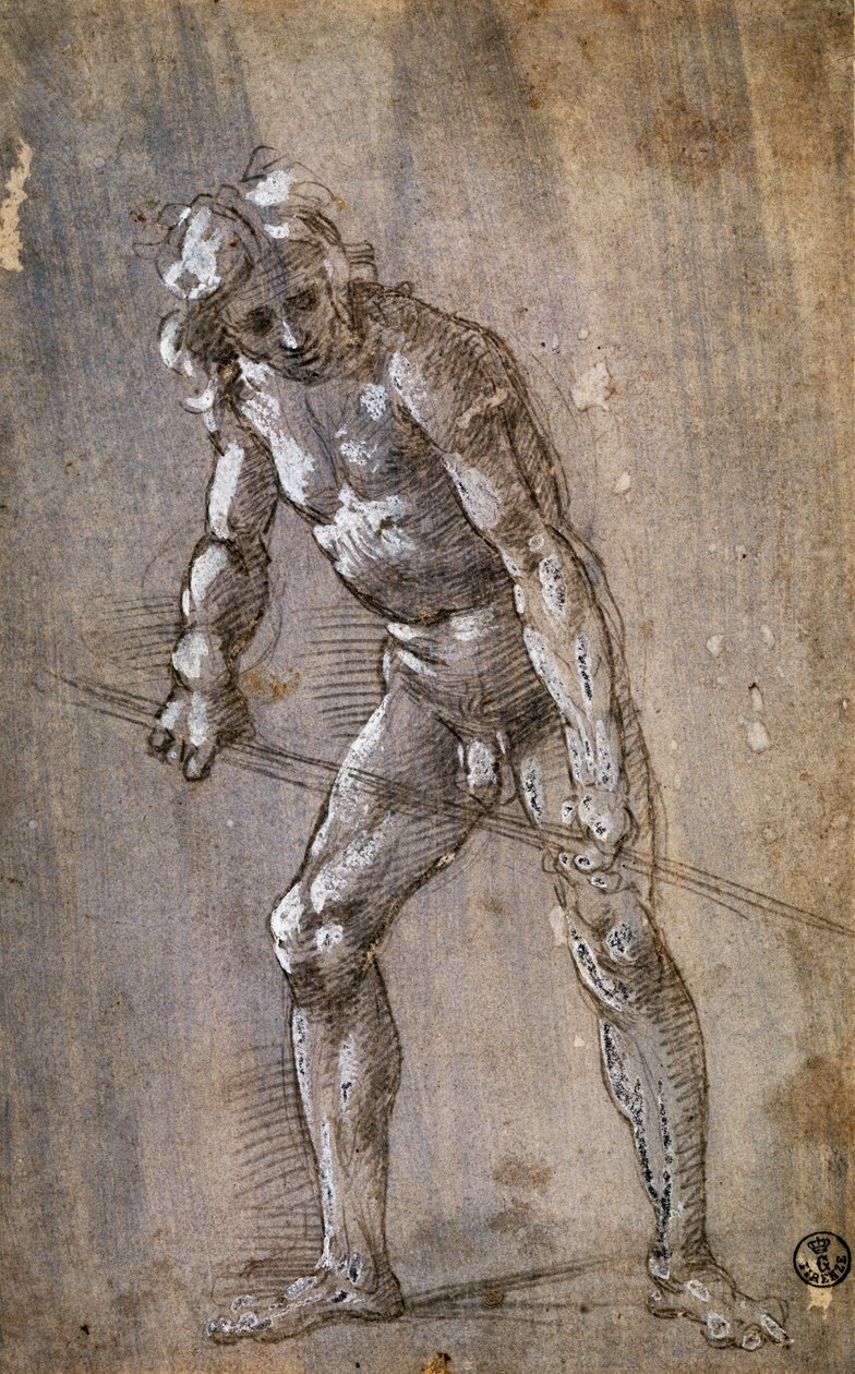 Figure masculine - Filippino Lippi