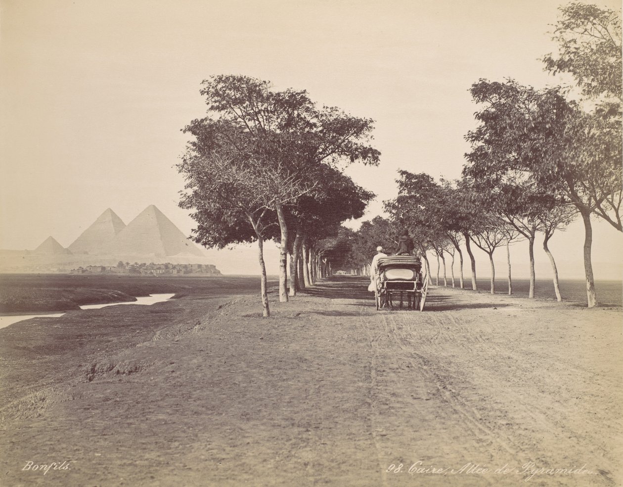 Caire. Allée de Pyramides - Félix Bonfils