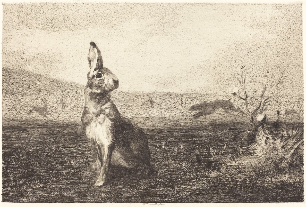 Le lièvre - Félix Bracquemond after Albert de Balleroy