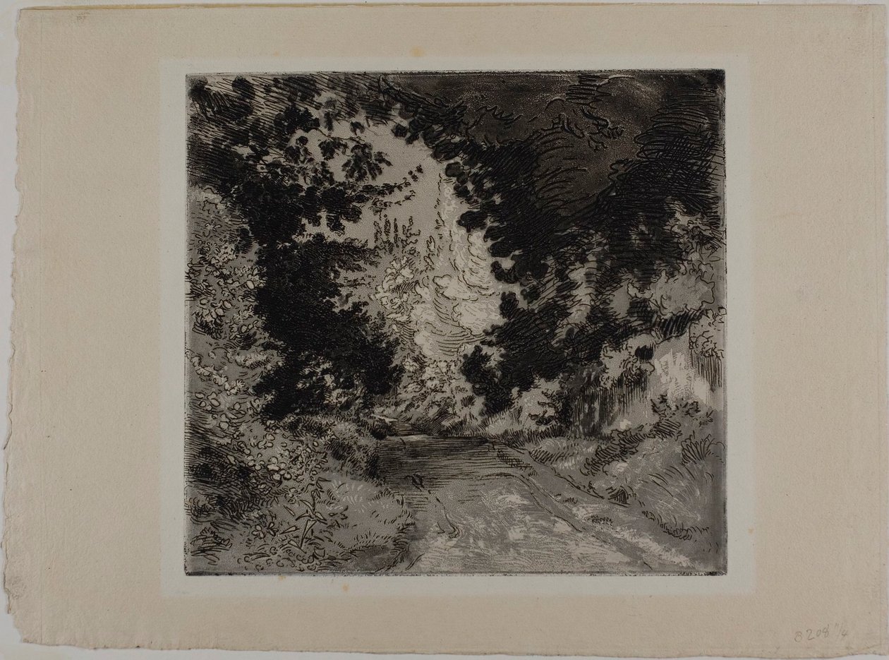 Le Chemin de Coutures, à Sèvres - Félix Henri Bracquemond