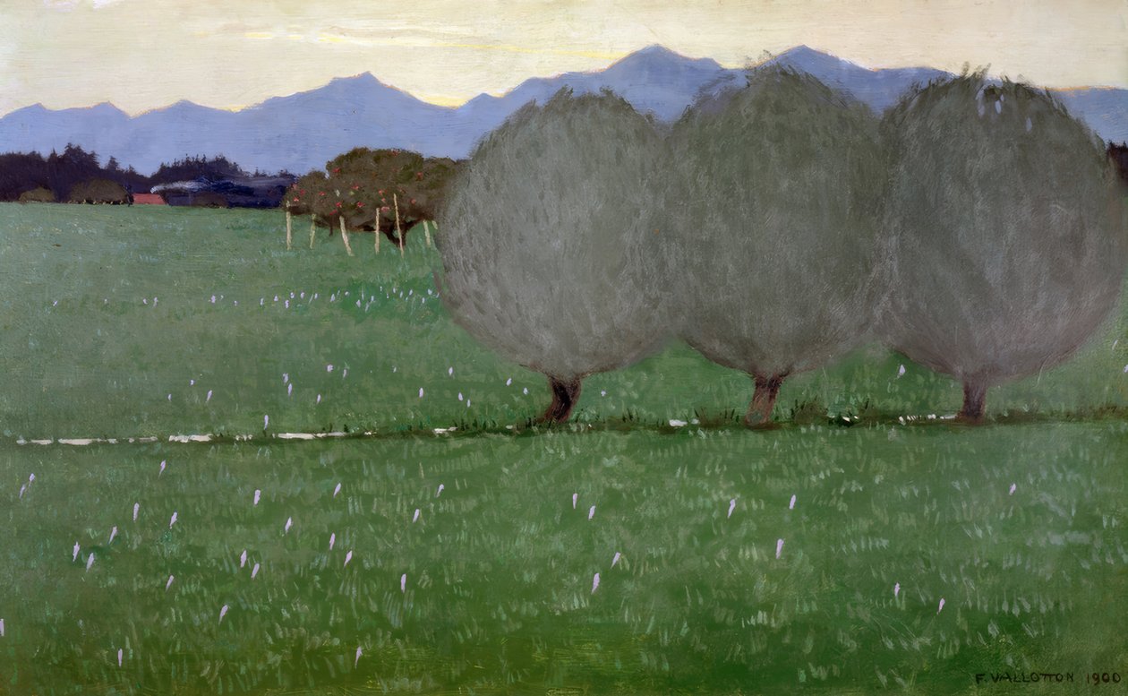 Les saules - Félix Vallotton