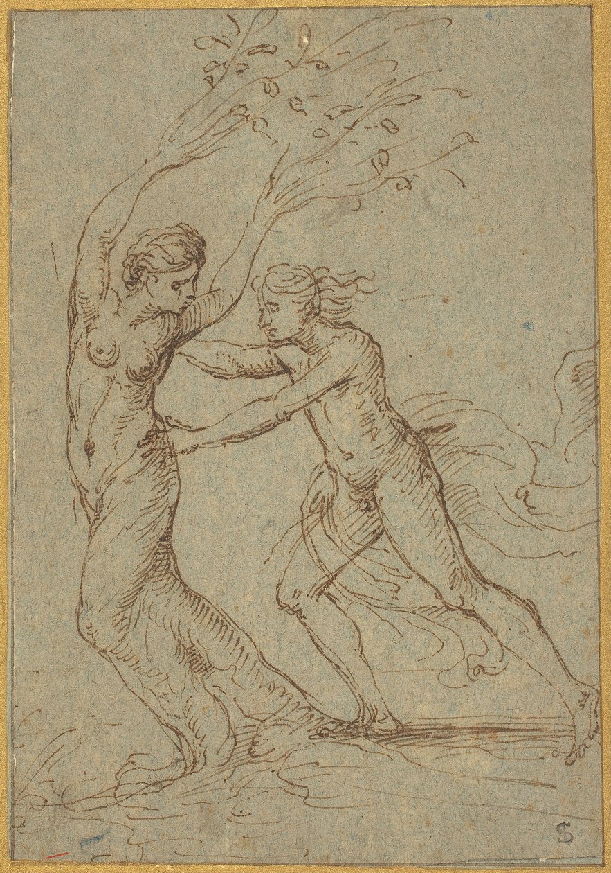 Apollon et Daphné - Follower of Giulio Romano
