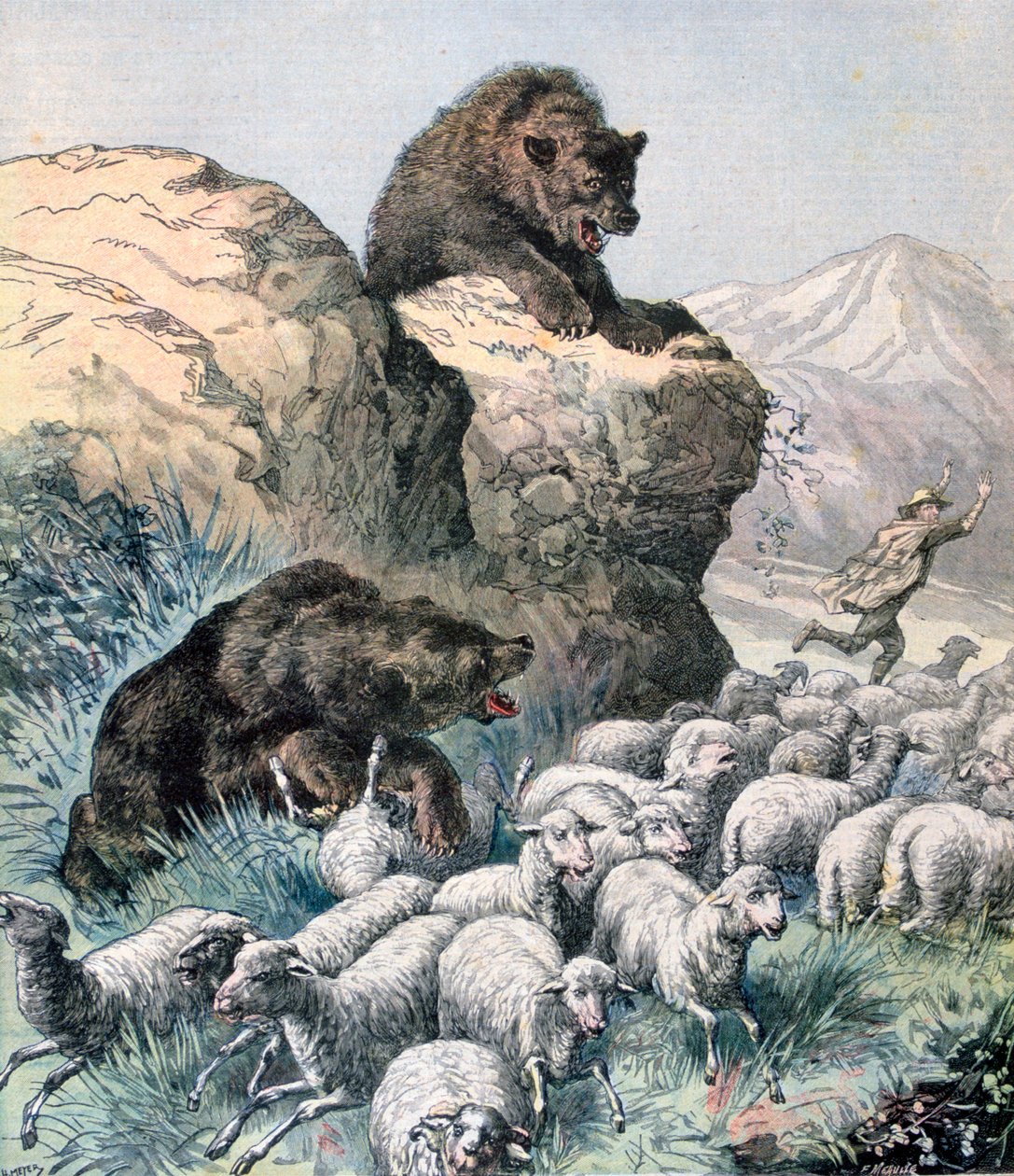 Les ours du Cagyre, 1891 - Fortuné Méaulle
