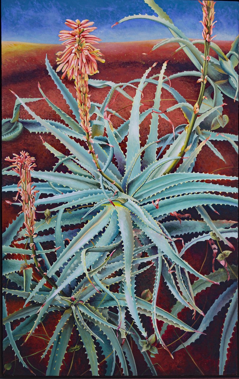 Aloe - Frances Ferdinands