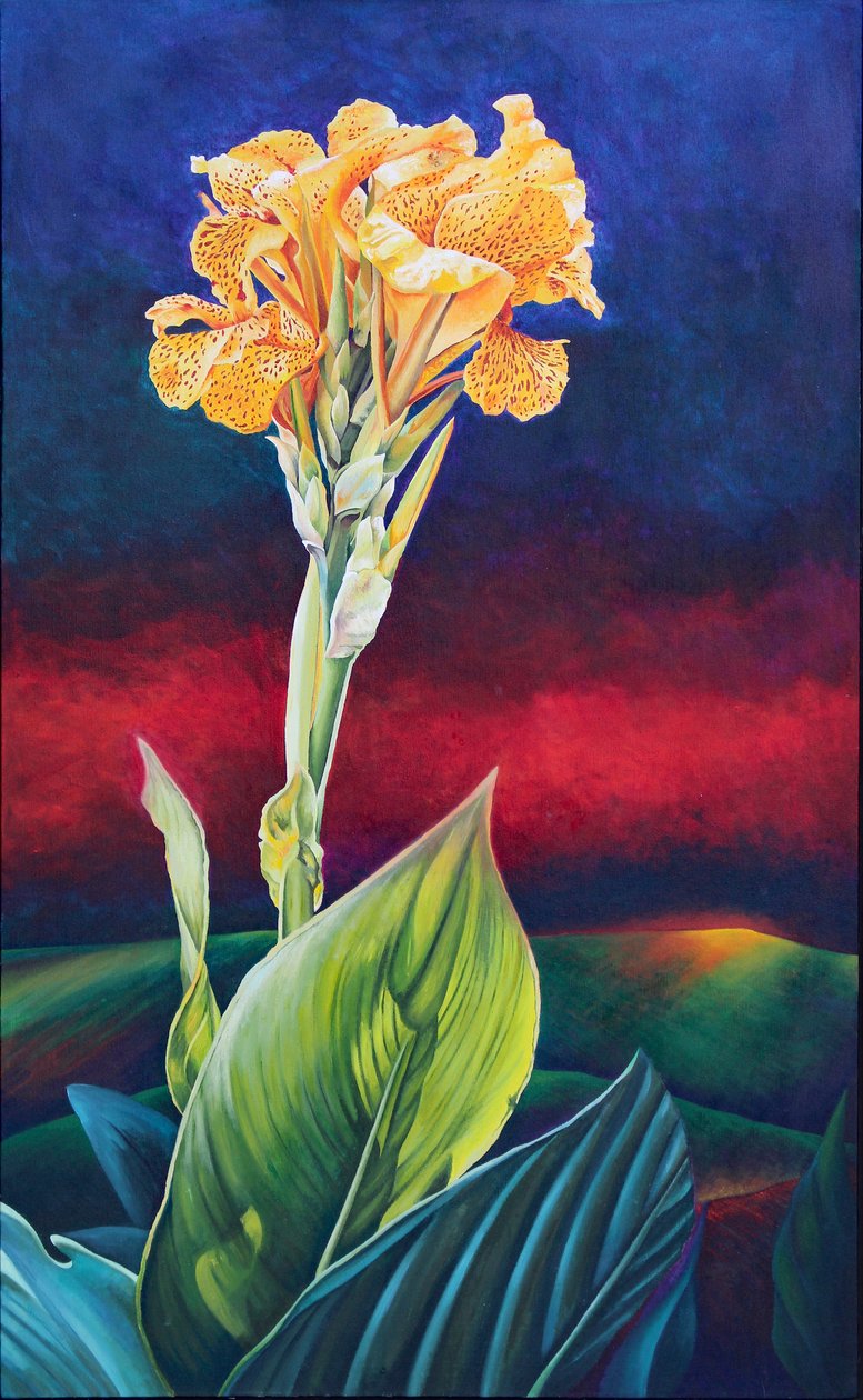 Lys canna jaune - Frances Ferdinands