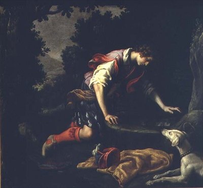 Narcisse à la fontaine - Francesco Curradi