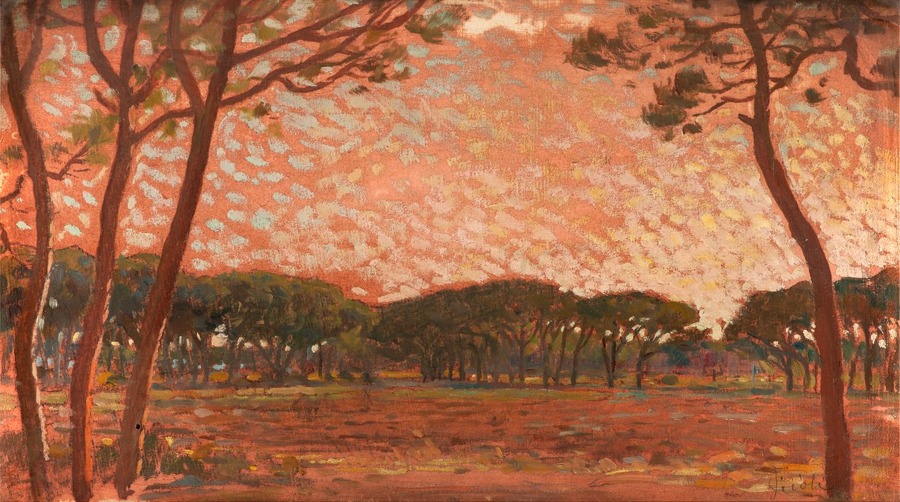 Pinède en Maremme - Francesco Gioli
