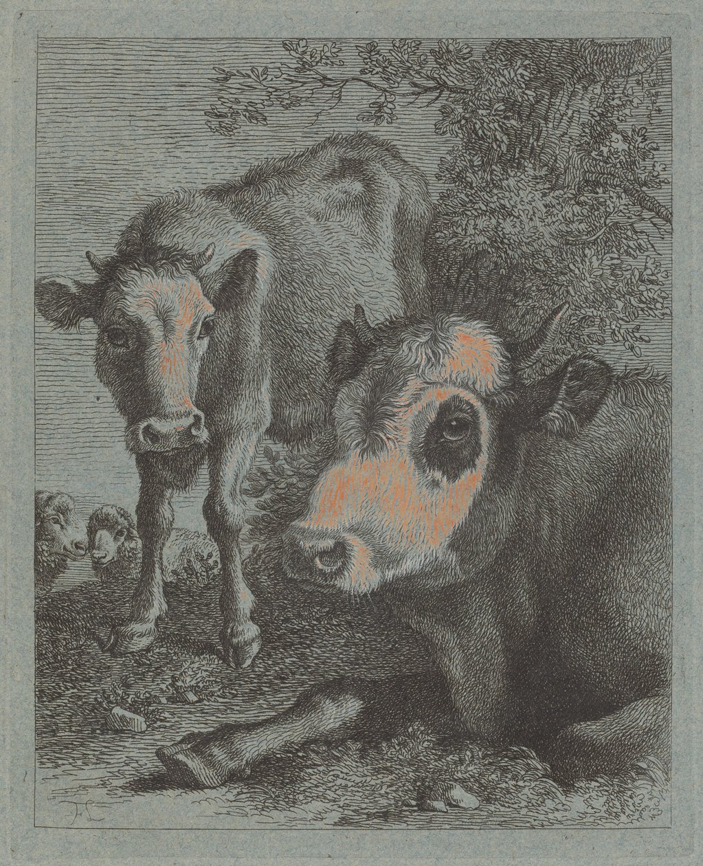Vache et veau couchés en plein air - Francesco Londonio