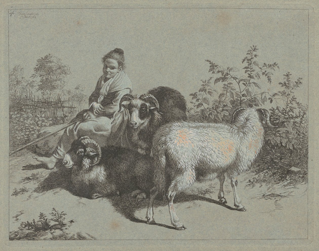 Bergère assise avec trois béliers - Francesco Londonio