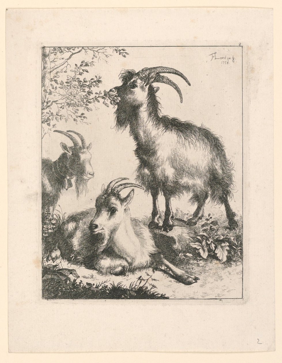 Trois chèvres - Francesco Londonio